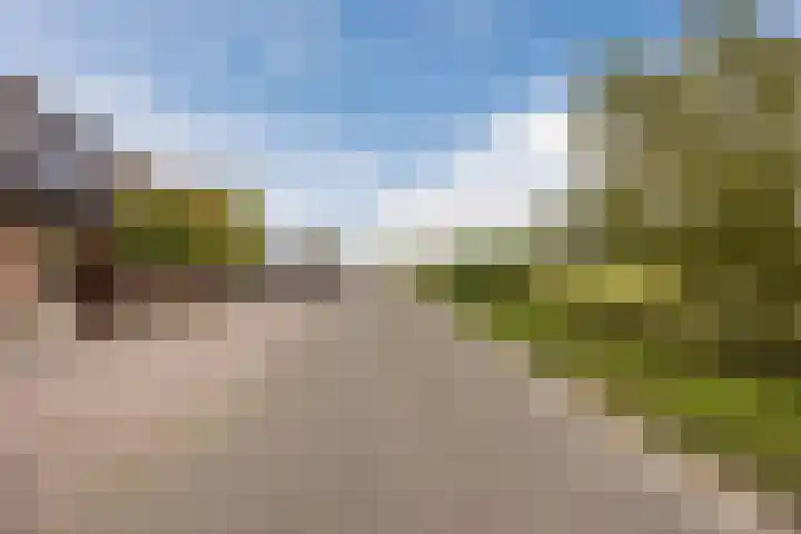 Kwakkel 21 Zaamslag thumbnail 26