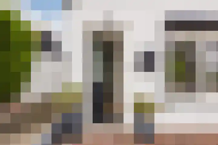 Kwakkel 21 Zaamslag thumbnail 4