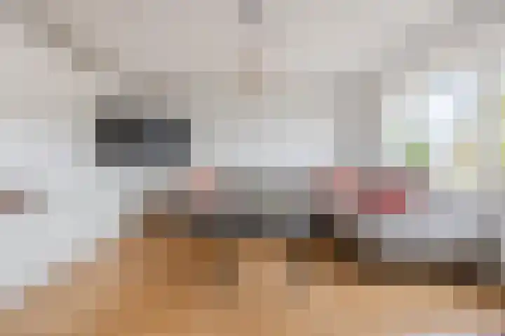 Kwakkel 21 Zaamslag thumbnail 6