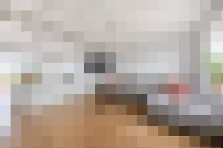 Kwakkel 21 Zaamslag thumbnail 7