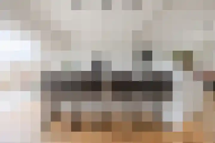 Kwakkel 21 Zaamslag thumbnail 8
