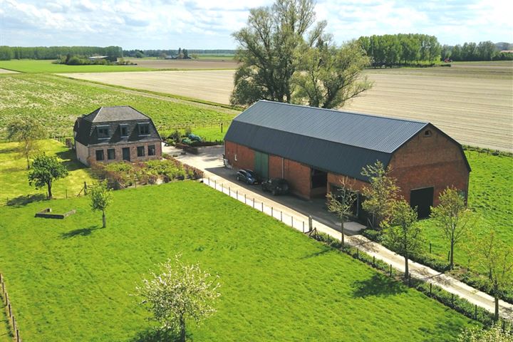 Kwakkel 4 in Zaamslag Foto