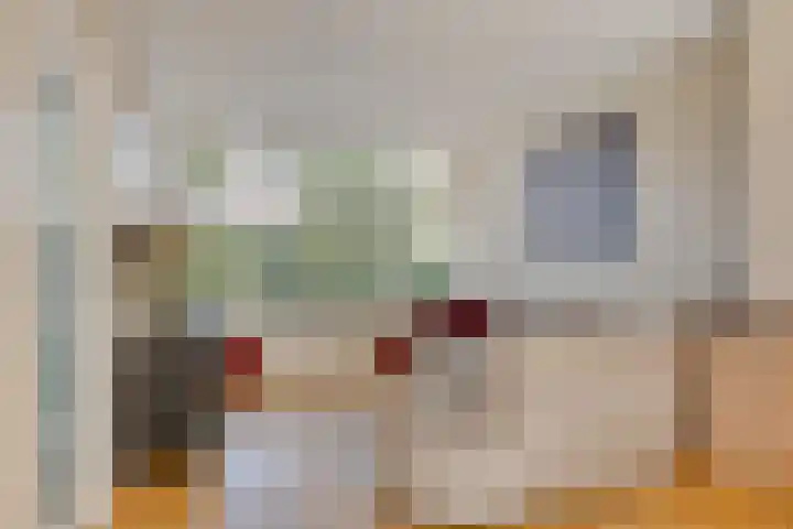 Kwakkelhutstraat 85 Breda thumbnail 8