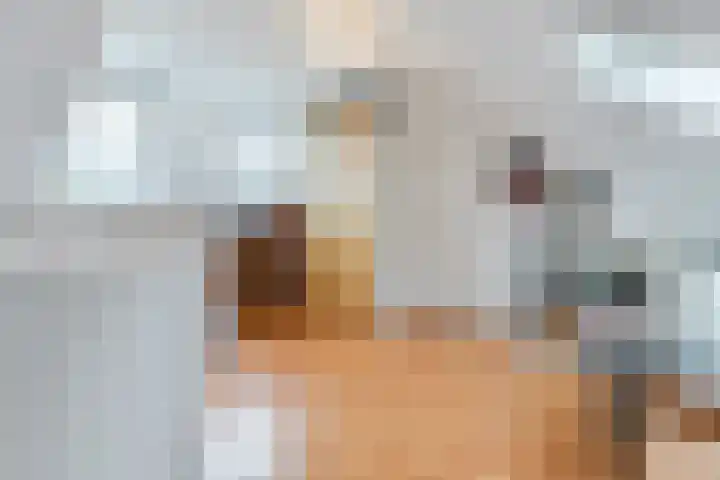 Kwakkelhutstraat 89 Breda thumbnail 32