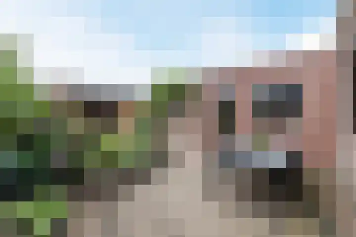 Kwakkelhutstraat 89 Breda thumbnail 39