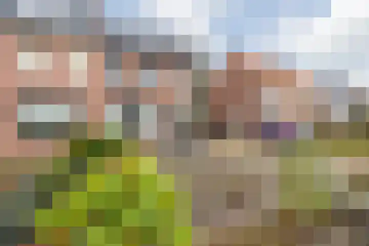 Kwakkelhutstraat 92 Breda thumbnail 9