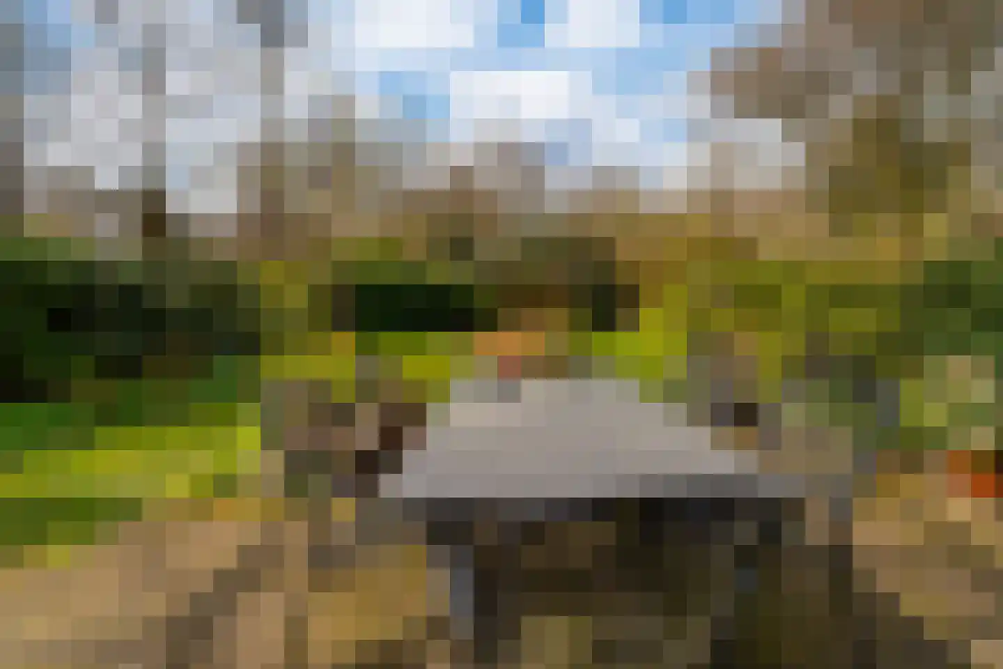 Kwakkenbergweg 5 Nijmegen thumbnail 50