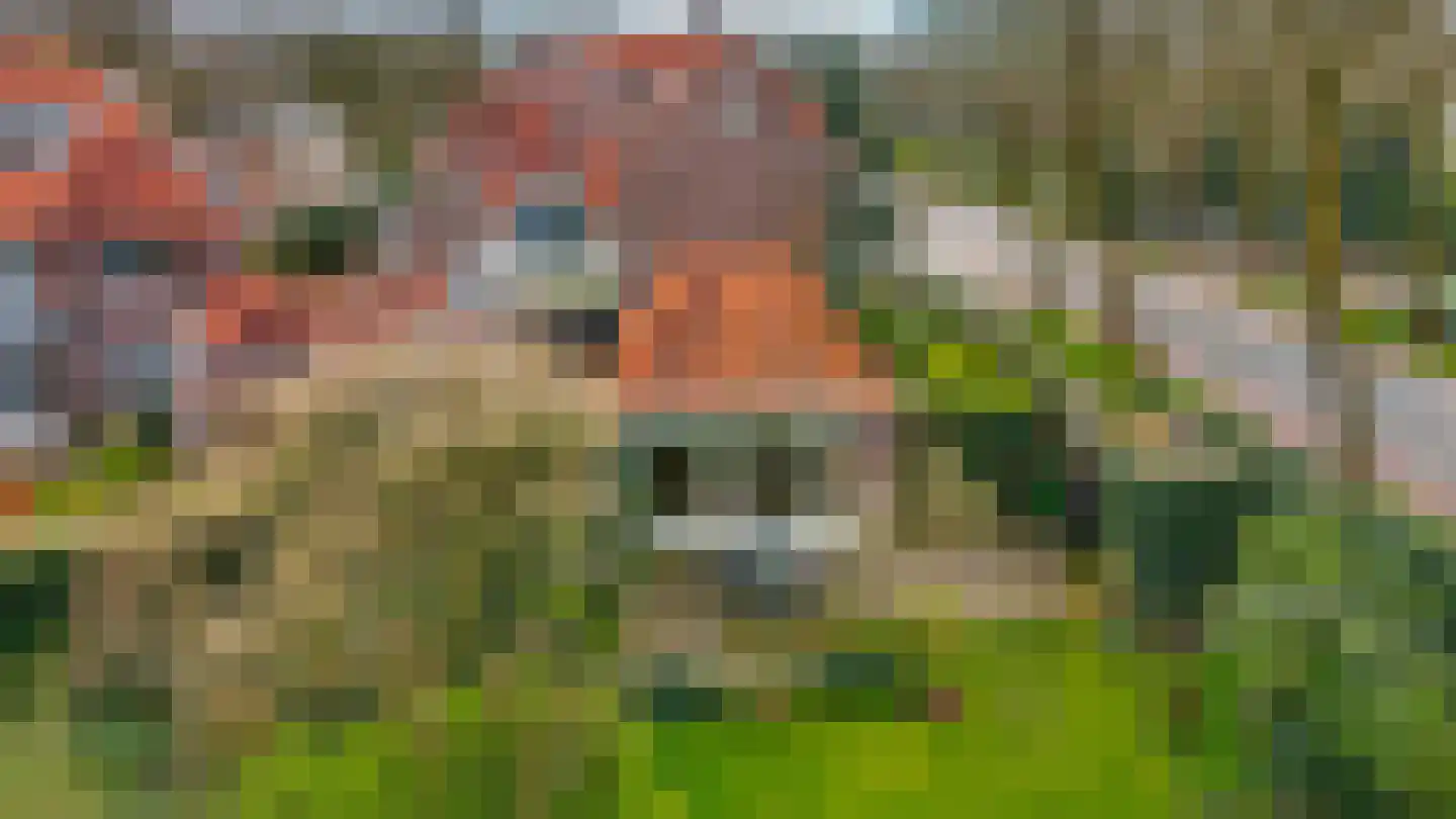 Kwakkenbergweg 5 Nijmegen thumbnail 58