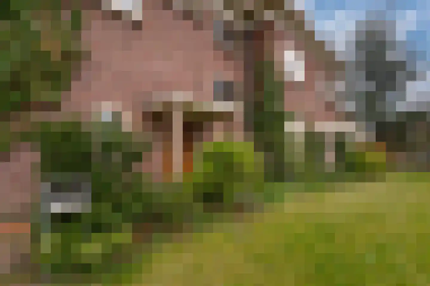 Kwakkenbergweg 5 Nijmegen thumbnail 63