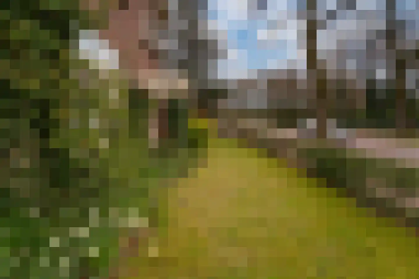 Kwakkenbergweg 5 Nijmegen thumbnail 64