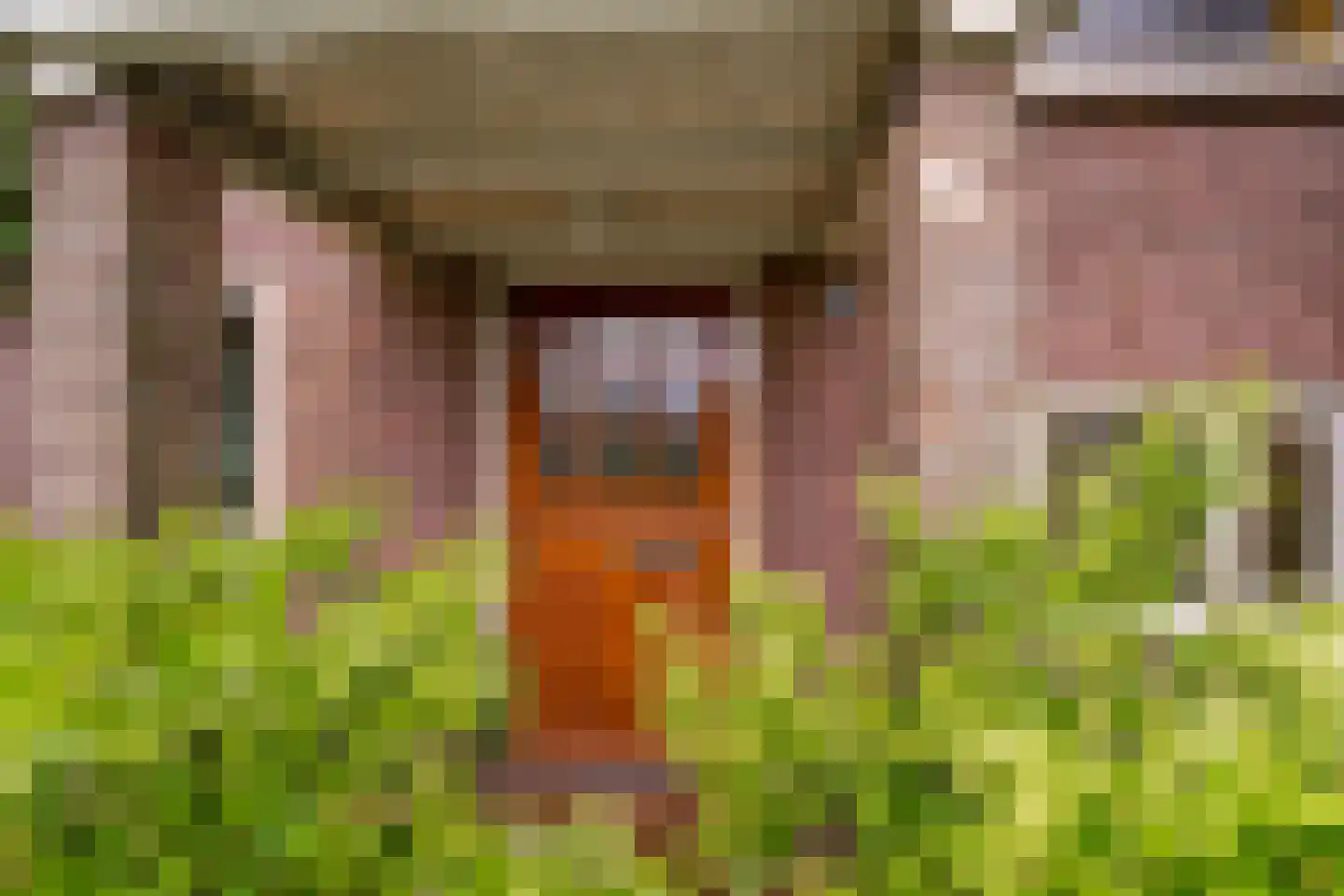 Kwakkenbergweg 5 Nijmegen thumbnail 7