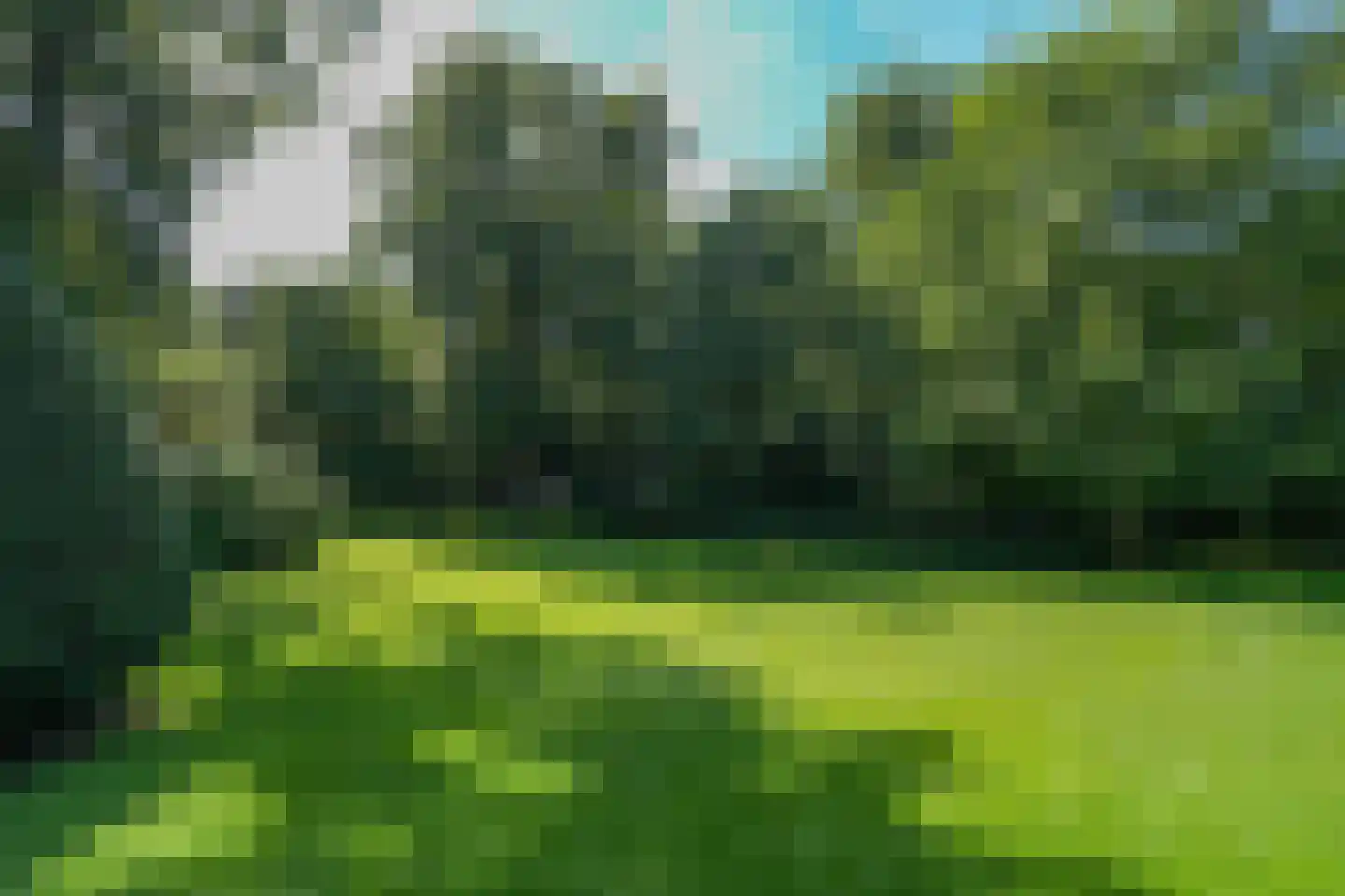 Kwakkenbergweg 52 Nijmegen thumbnail 4