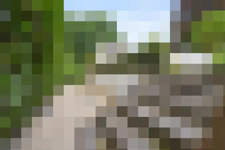 Kwakkenbergweg 76 Nijmegen thumbnail 45