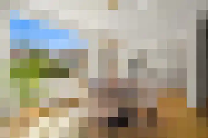 Kwaklaan 18 Wateringen thumbnail 14