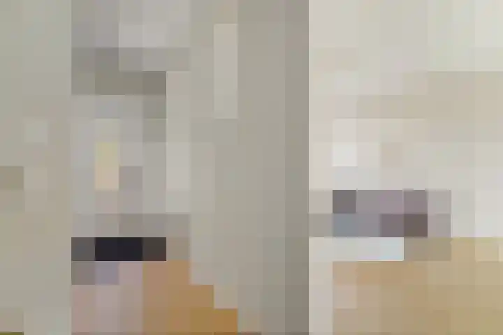 Kwaklaan 18 Wateringen thumbnail 9