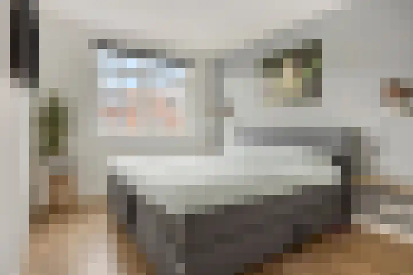 Kwaklaan 23 Wateringen thumbnail 16