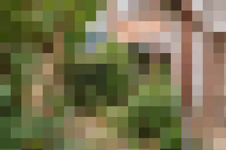 Kwaklaan 36 Wateringen thumbnail 10