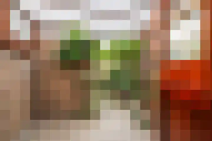 Kwaklaan 36 Wateringen thumbnail 13