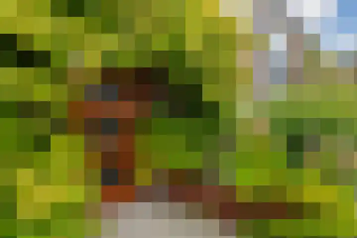 Kwaklaan 36 Wateringen thumbnail 41