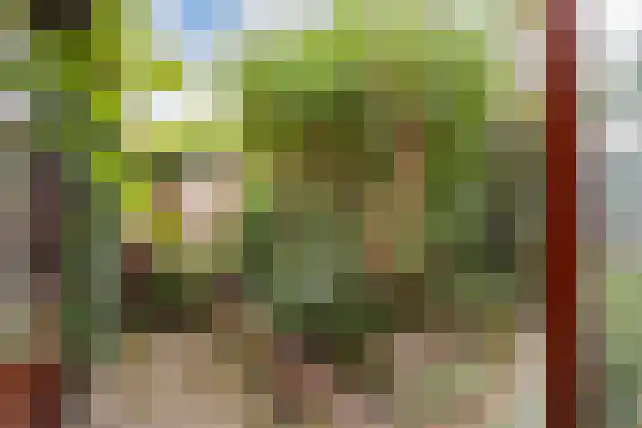 Kwaklaan 36 Wateringen thumbnail 9
