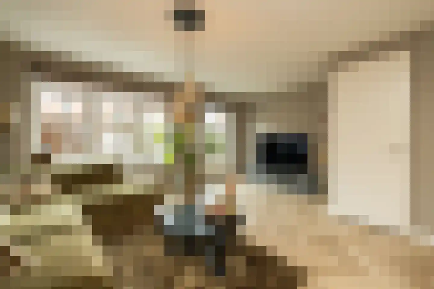 Kwaklaan 49 C Wateringen thumbnail 10