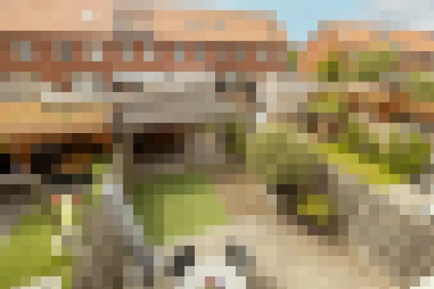 Kwaklaan 49 C Wateringen thumbnail 30