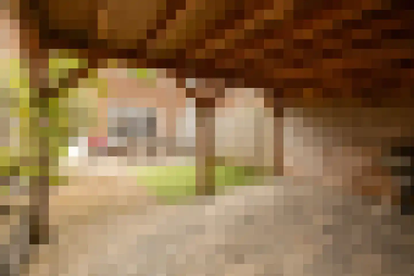 Kwaklaan 49 C Wateringen thumbnail 35