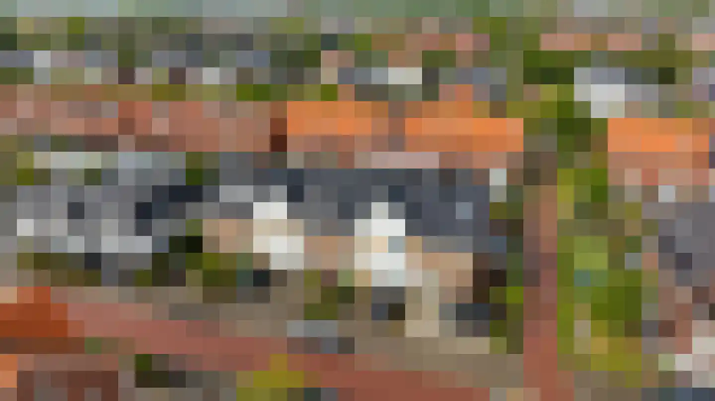 Kwaklaan 49 C Wateringen thumbnail 41