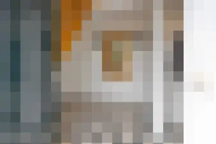Kwantsheuvel 1 Overloon thumbnail 10