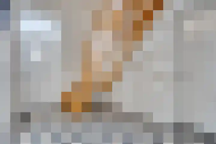 Kwantsheuvel 1 Overloon thumbnail 11