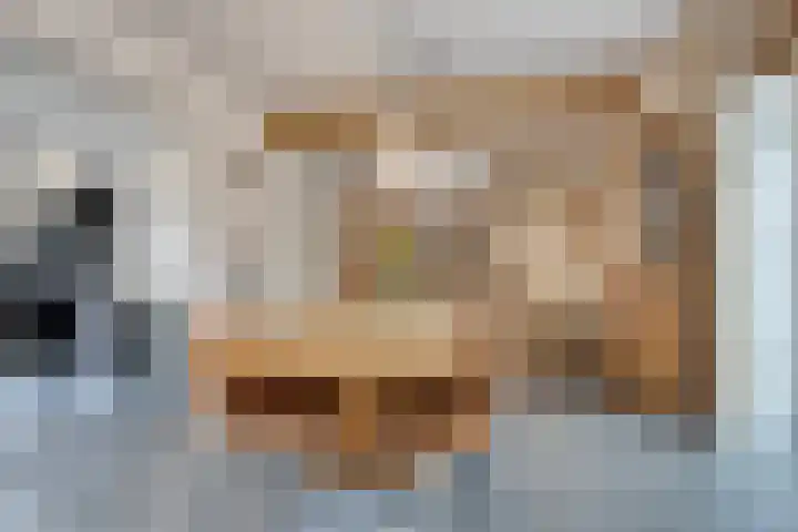 Kwantsheuvel 1 Overloon thumbnail 18