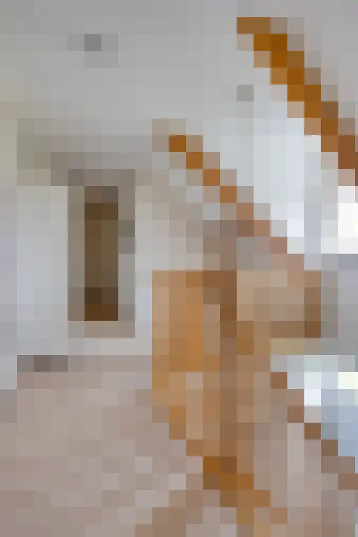 Kwantsheuvel 1 Overloon thumbnail 34