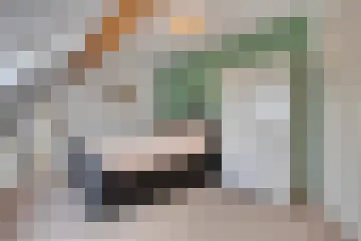 Kwantsheuvel 1 Overloon thumbnail 43