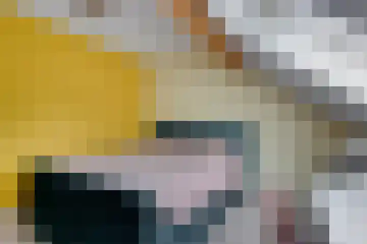 Kwantsheuvel 1 Overloon thumbnail 44