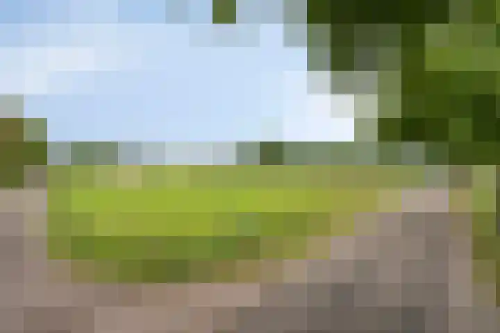Kwantsheuvel 1 Overloon thumbnail 5