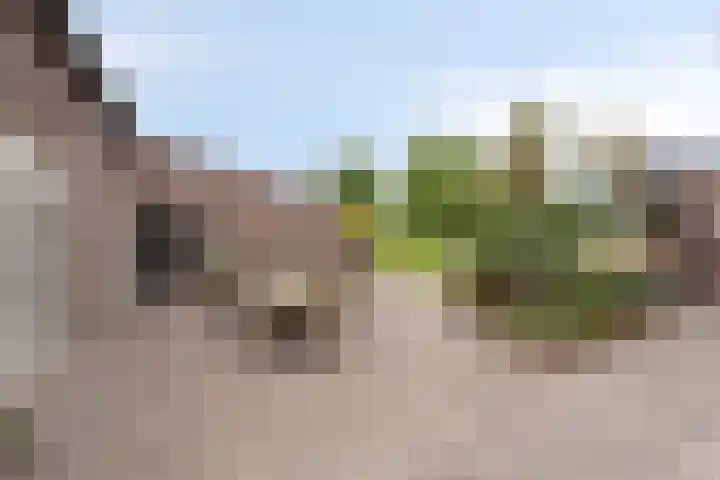 Kwantsheuvel 1 Overloon thumbnail 66