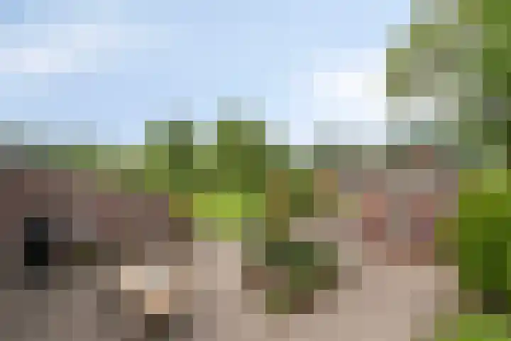 Kwantsheuvel 1 Overloon thumbnail 67