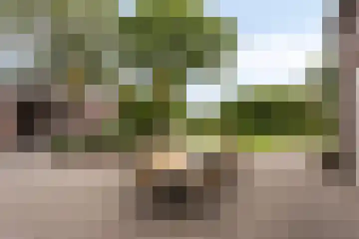 Kwantsheuvel 1 Overloon thumbnail 68