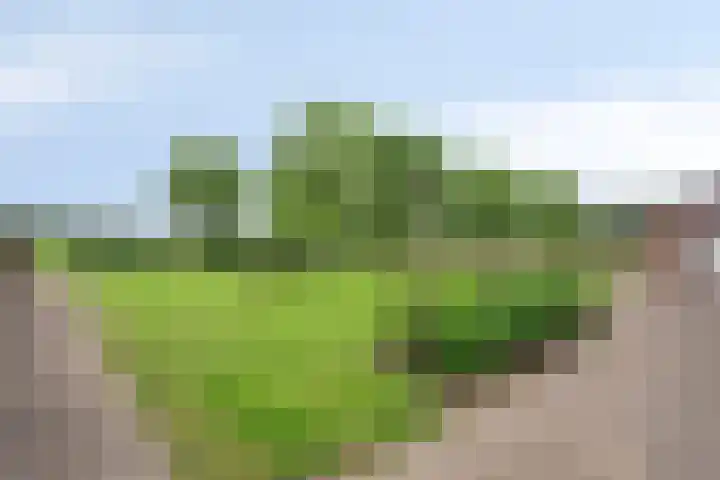 Kwantsheuvel 1 Overloon thumbnail 69