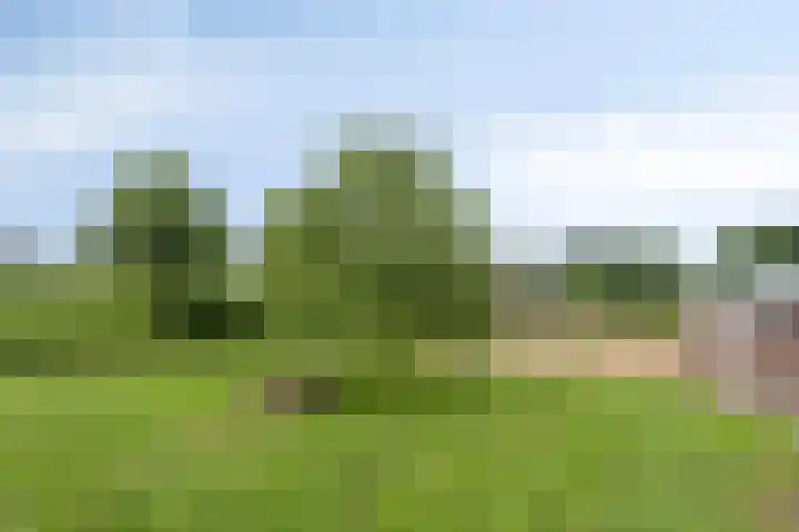 Kwantsheuvel 1 Overloon thumbnail 70