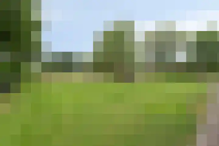 Kwantsheuvel 1 Overloon thumbnail 71