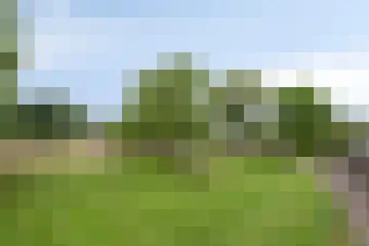 Kwantsheuvel 1 Overloon thumbnail 72