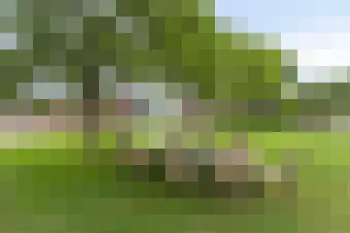 Kwantsheuvel 1 Overloon thumbnail 73