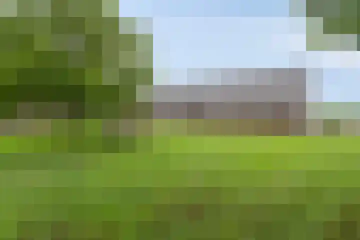 Kwantsheuvel 1 Overloon thumbnail 74