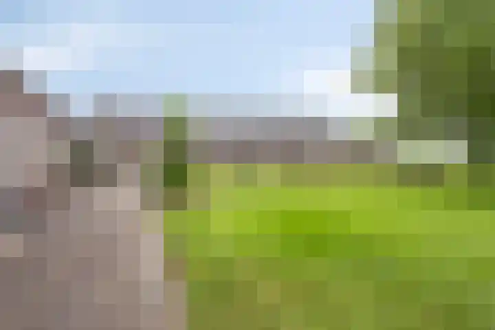 Kwantsheuvel 1 Overloon thumbnail 75