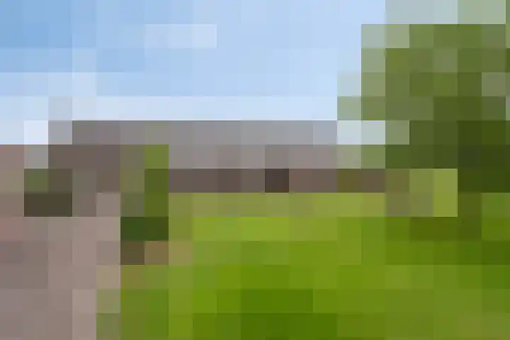 Kwantsheuvel 1 Overloon thumbnail 76