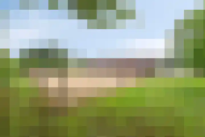 Kwantsheuvel 1 Overloon thumbnail 77