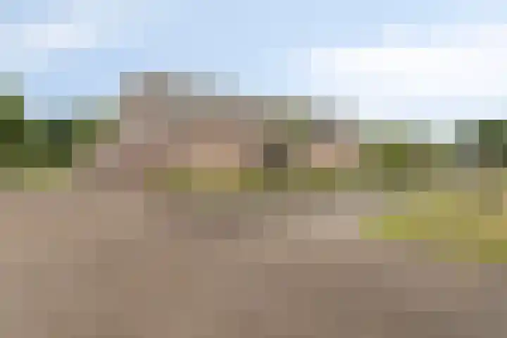 Kwantsheuvel 1 Overloon thumbnail 8