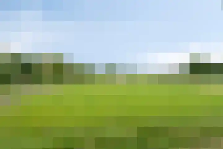 Kwantsheuvel 1 Overloon thumbnail 84