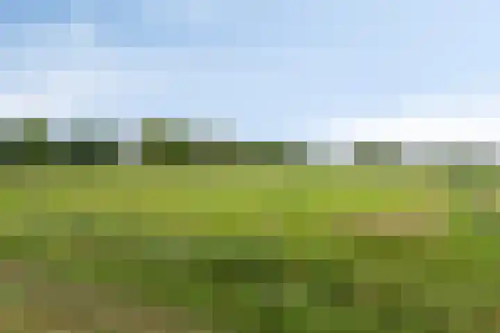 Kwantsheuvel 1 Overloon thumbnail 85